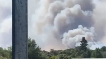 Amatérské záběry na požár lesa Fontainebleau nedaleko Paříže