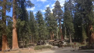 Turistické odpočívadlo v N.P. Sequoia