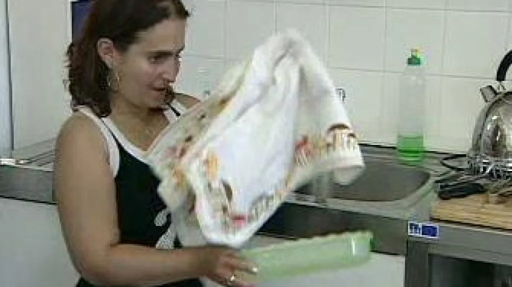 Štěchovice zaměstnávají mentálně postižené