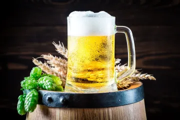 Čeští vědci jako první použili genetické nůžky CRISPR na chmel. Cílem je ještě lepší pivo