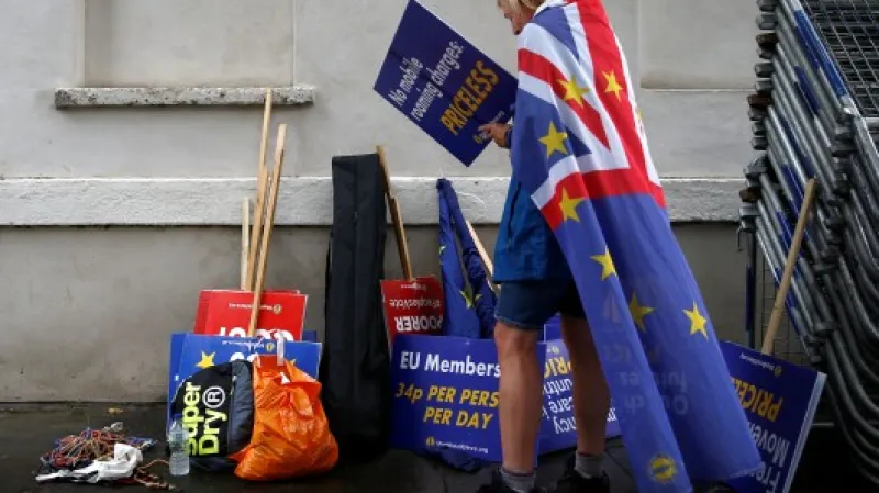 Demonstrant proti brexitu ve Westminsteru,  Autor: Henry Nicholls,  Zdroj: Reuters