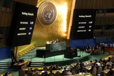 Reforma OSN je v současnosti neproveditelná, myslí si expert Karlas
