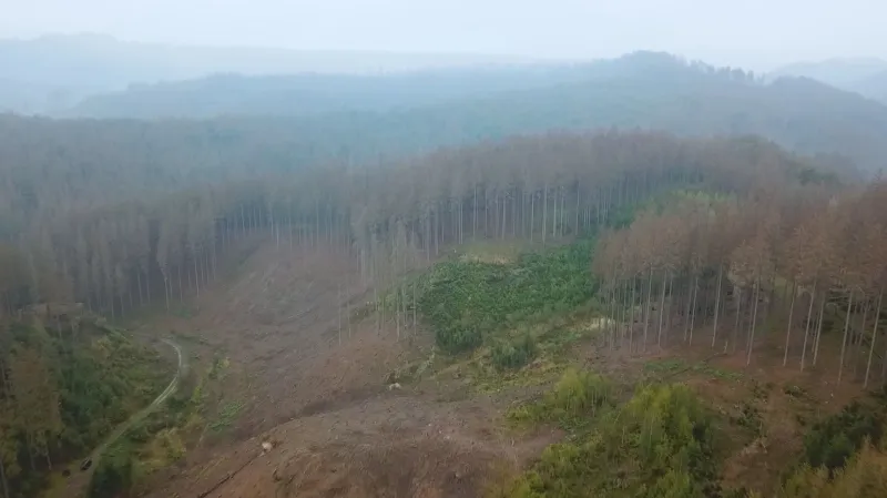 Pohled na České Švýcarsko