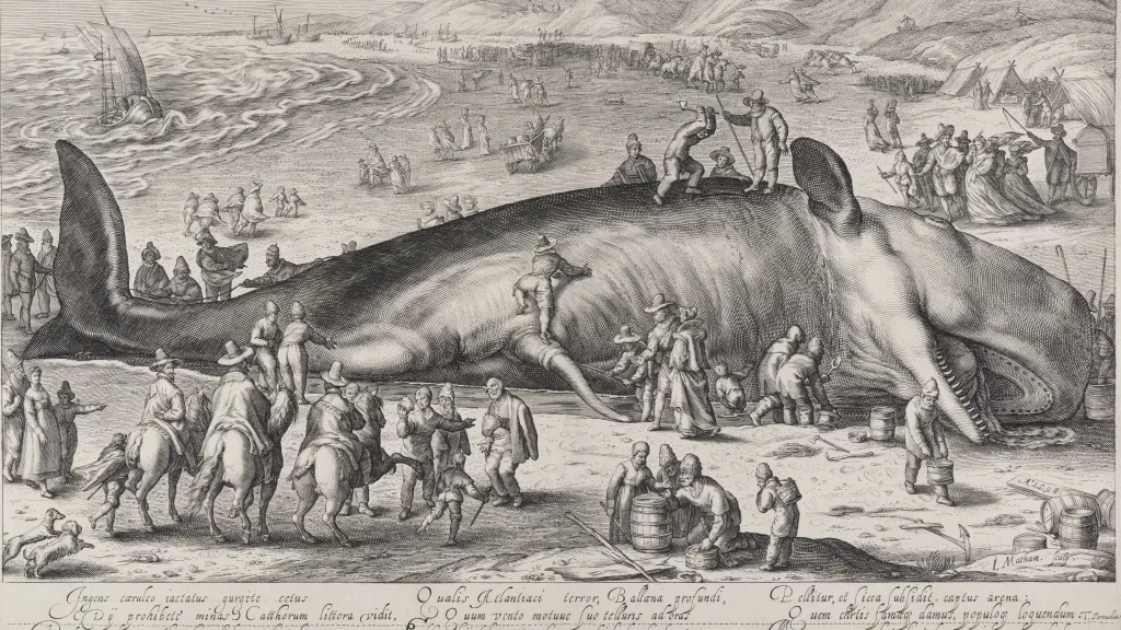 Jacob Matham podle Hendricka Goltzia, Vorvaň na pláži v Berkhey, 1598