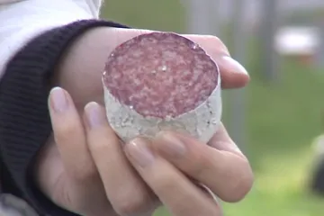 Špendlíky v salámu: nebezpečných návnad na psy v Brně přibylo