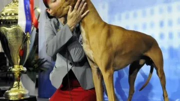 Vítěz soutěže psí krásy s majitelkou Jenny Hallovou
