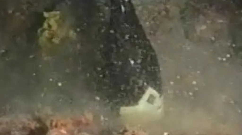 Moravský sekt na dně moře