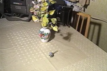 30 let zpět: Politické špehování