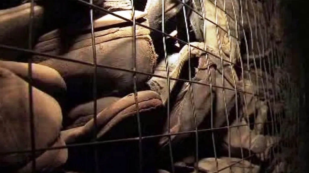 Boty vězňů koncentračního tábora Majdanek