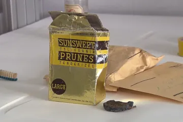 Zubní kartáček i sušené švestky. Věci zajištěné po smrti Jana Masaryka uloží na vhodnější místo