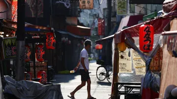 Vlna veder v Japonsku