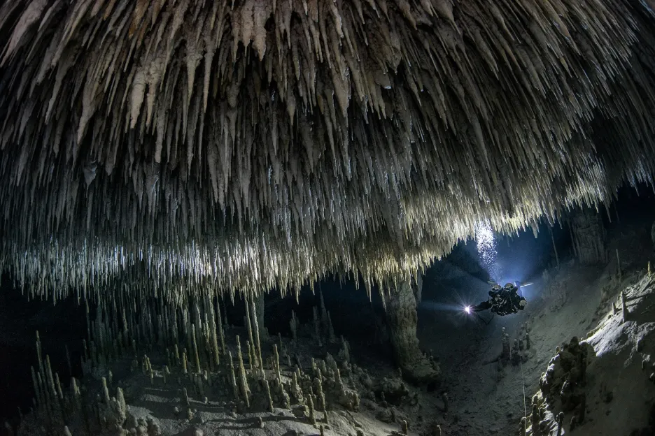 Fotograf chtěl tímto snímkem upozornit na přírodní krásy podmořských jeskynních systémů mexické Mayské riviéry, ale také na ohrožení tohoto křehkého ekosystému. Přestože jsou jeskyně důležitou součástí vodonosné vrstvy, jsou pod stále větším tlakem turistického ruchu