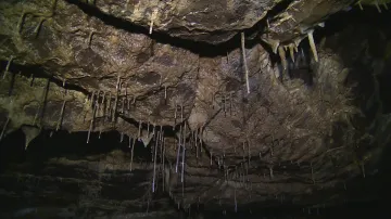 Stékající dešťová voda ničí krápníky v Amatérské jeskyni