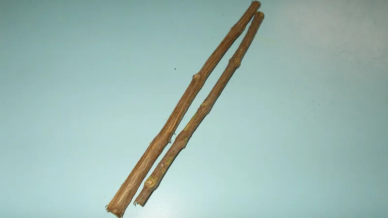 Indická čistící dřívka