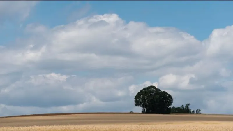 Počasí: V pátek tropy, v sobotu déšť, od neděle příjemně