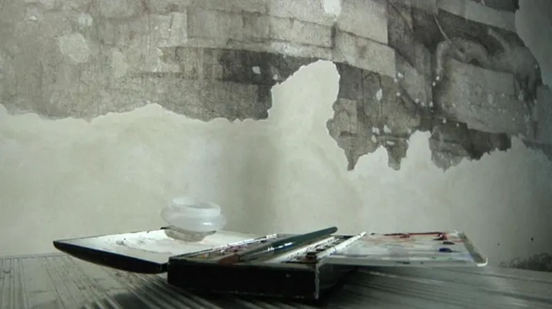 Odkrytá část Da Vinciho fresek v milánském hradu