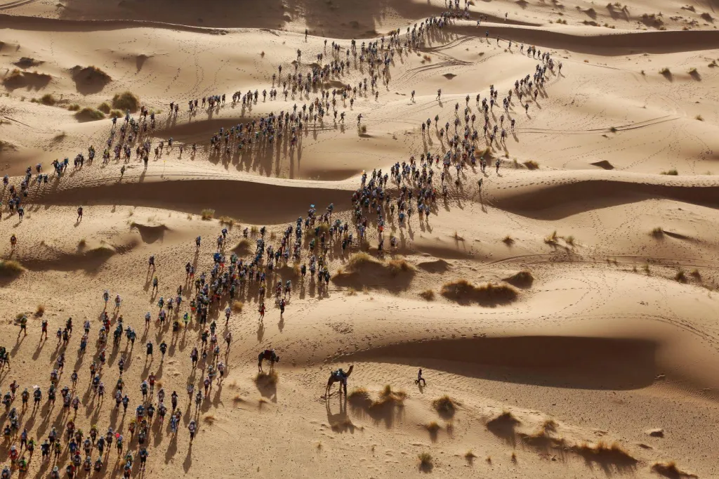 Třetí cena v kategorii Sport. Písečný maraton. Běžci tzv. písečného maratonu v saharské poušti.