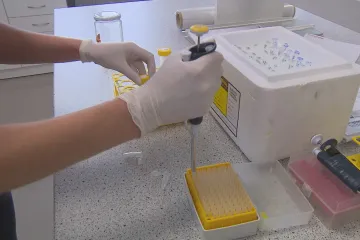 Genetické nůžky mohou pomoct s léčbou vzácných onemocnění. Na metodě CRISPR se podílel i český vědec