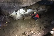 Jeskyně v Moravském krasu vysychají. Ubývá žížal, nitěnek a hynou stromy