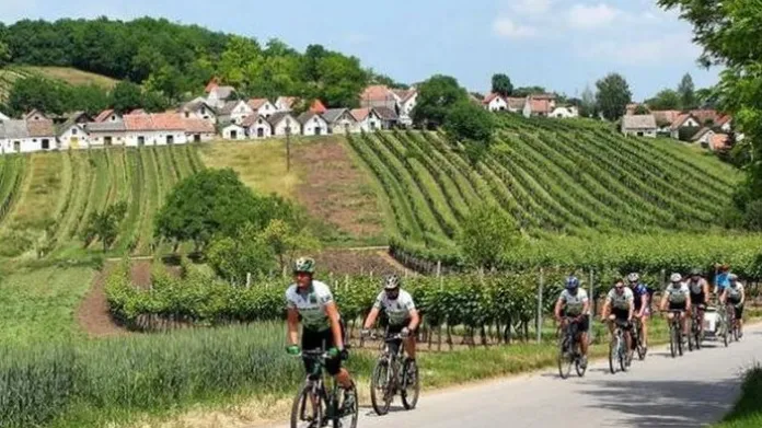 Cyklisté na jižní Moravě