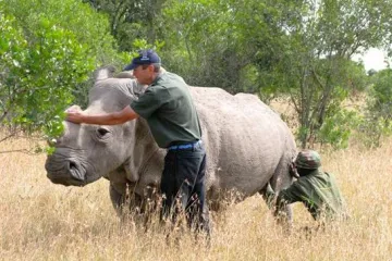 Doba návštěv v Ol Pejetě