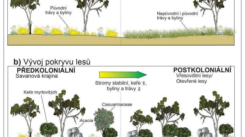 Schéma vývoje krajiny