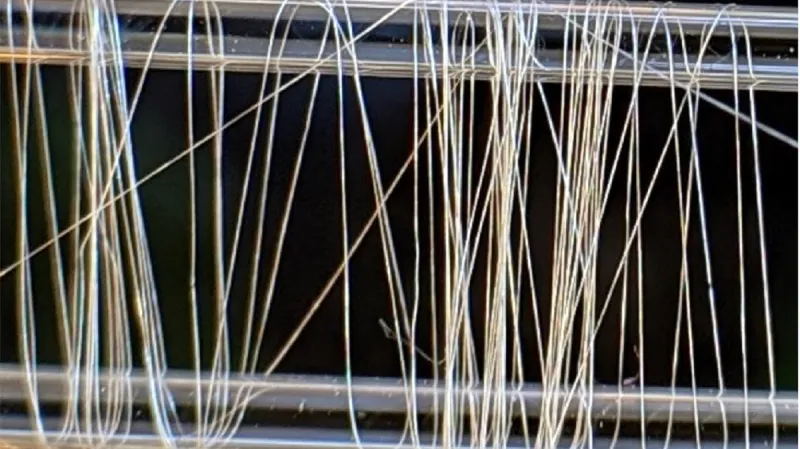 Laboratorně vytvořené pavoučí hedvábí