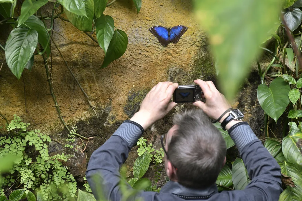 Botanická zahrada hl. m. Prahy slaví 50 let