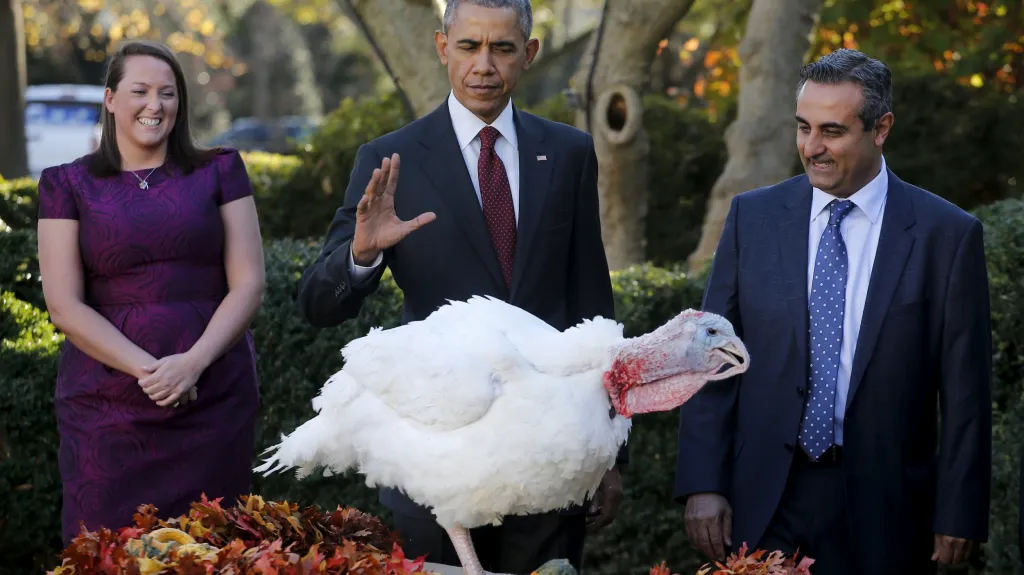 Obama tradičně omilostnil krocany