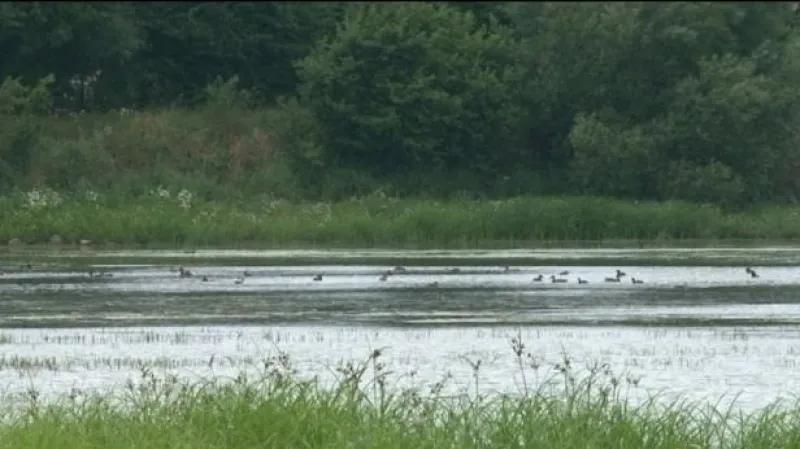 Jižní Morava a Vysočina mají dvě nové přírodní památky