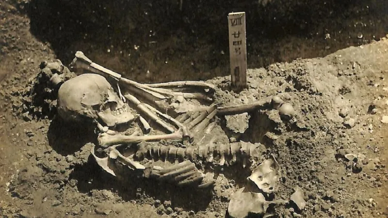 Ostatky muže zabitého žralokem před třemi tisíci lety