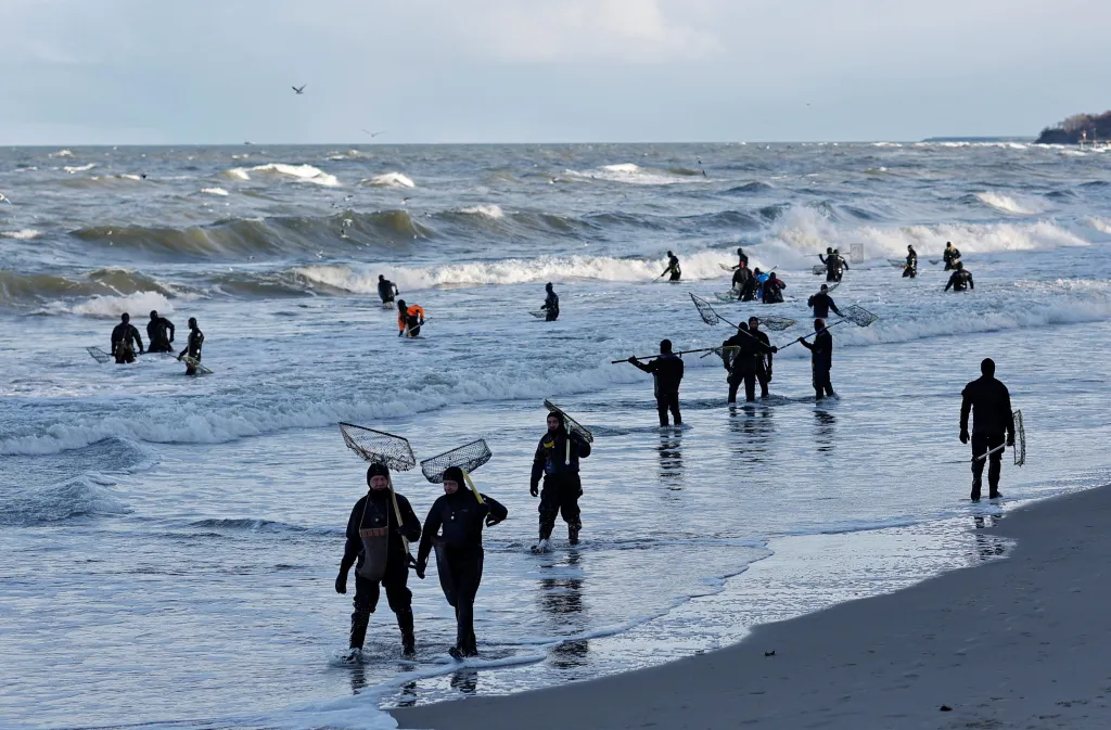 Oranžové poklady na pobřeží Baltu. Pláže v Kaliningradu zaplnili lovci jantarů