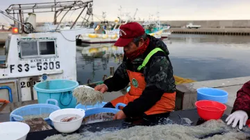 Rybář Haruho Ono omývá ryby, které má později v plánu prodat.  Od elektrárny jej dělí 55 kilometrů