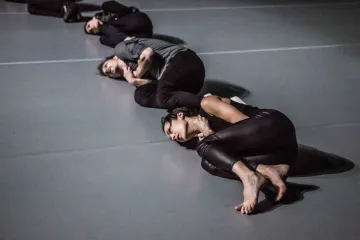 Pozorování primátů a analýza bolesti. Začal Dance Transit