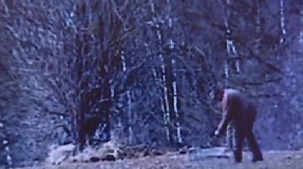 Pachatel na záběrech skryté kamery