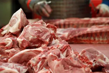 Vepřové ze států s morem prasat nepustí veterináři do Česka bez kontroly