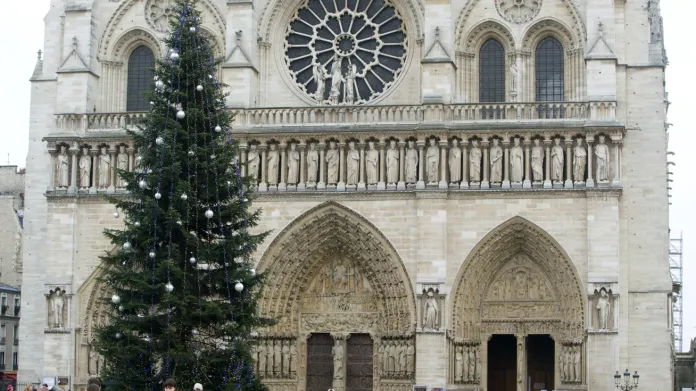 Vánoční strom před Notre Dame