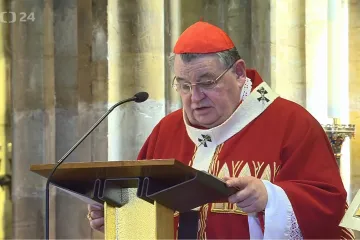 Duka připomněl rostoucí moc komunistů. Je na prezidentovi, aby zaznělo rozhodné slovo, zdůraznil