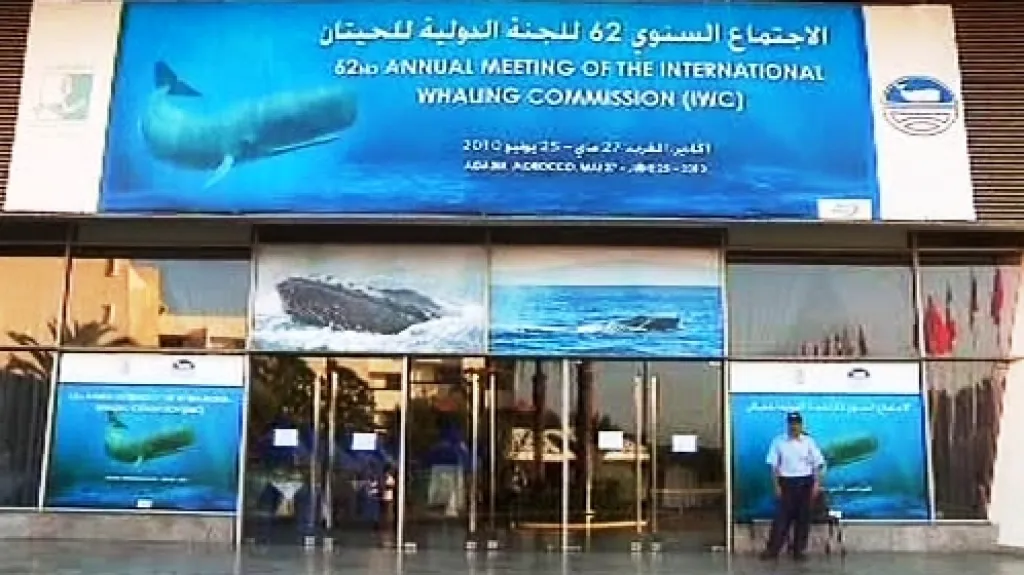 Jednání Mezinárodní velrybářské komise (IWC)