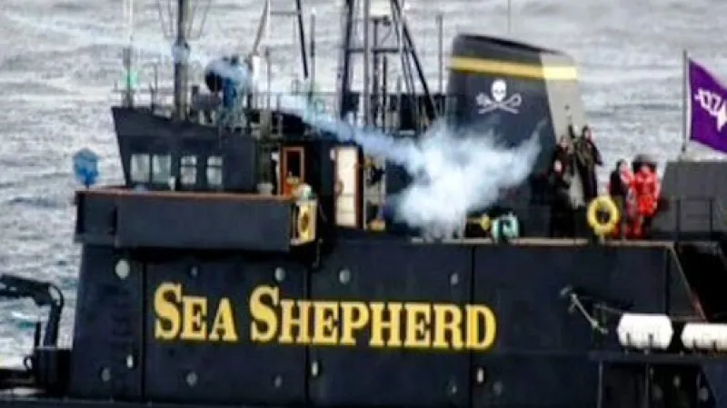 Sea Shepherd
