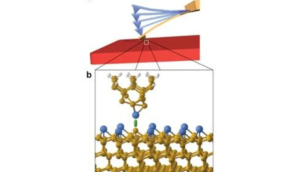 Detekci jednotlivých atomů umožňuje chemická vazba mezi povrchem a atomem hrotu