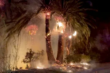 Hasiči pokročili v likvidaci kalifornských požárů, vítr se utišil. Reaganovu knihovnu pomohly zachránit kozy