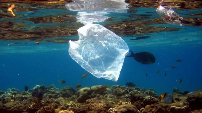 Události: Brusel chce omezit používání igelitových tašek