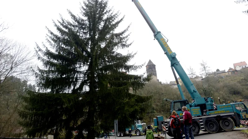 Vánoční strom pro Prahu je z Ratají nad Sázavou