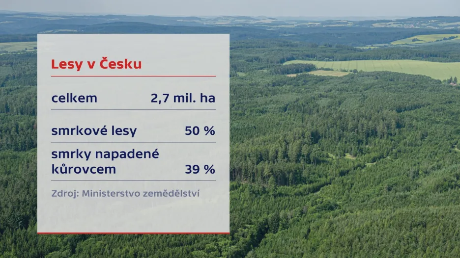 Kůrovec