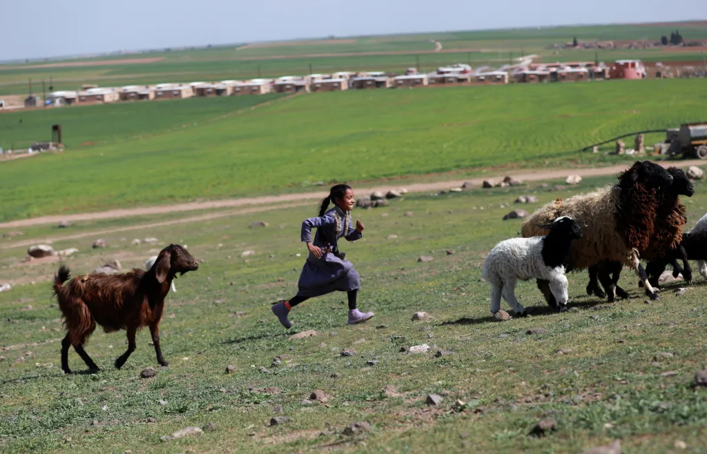 Vesnici Jinwar, která se nachází v pozadí, obývají ženy i s dětmi. Kromě obdělávání půdy se komunita stará i o dobytek