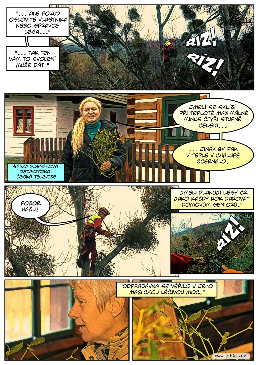 Stromolezci šplhají pro jmelí