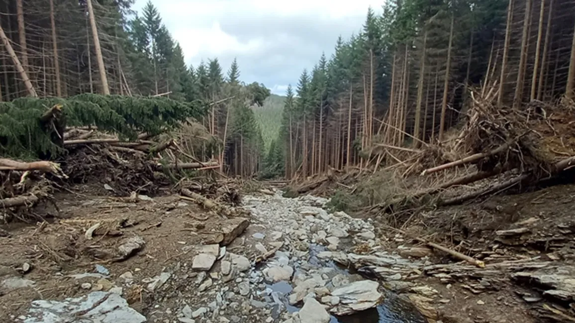 Velké bahnotoky a mury mohou vznikat i v Česku, varují výzkumníci