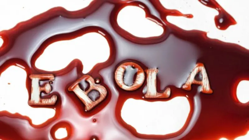 Postrach jménem ebola tématem Studia 6