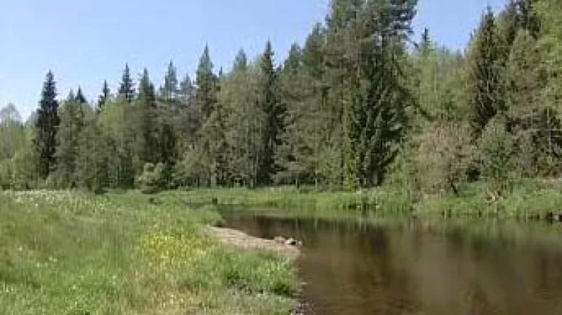 Spor ochránců přírody a Správy národního parku Šumava se dostal až k Evropské komisi.